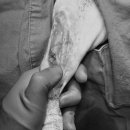 하남숲동물병원 | 편측슬개골탈구 수술후기 [미사숲동물의료센터/ 미사동물병원/ 하남동물병원]