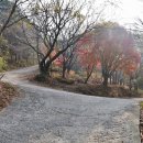 상담주차장 - 좌 이미지