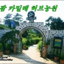 허브향기 이미지