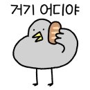 청주성인태권도 이미지