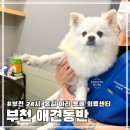 부천 동물심장 내과 건강검진센터 | 부천24시옥길아라동물의료센터 강아지 건강검진 부천동물병원