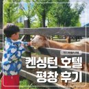 켄싱턴평창 | 30개월 아기와 켄싱턴 호텔 평창 후기 💛 l 내돈내산