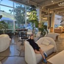 빈인더바스켓(Bean in the basket) 이미지