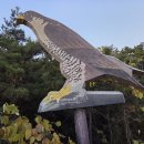 2박3일의 고군산군도 트레킹 여행기 이미지