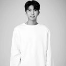 사파동195 이미지