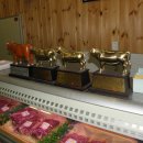 가나안농장 이미지