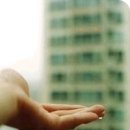 브이오에스 카카오 검색결과