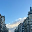 [스페인] 바르셀로나 시내구경 - 까사바트요, 까사밀라, Casa Lolea 샹그리아, 상파우병원, 벙커 전망대...