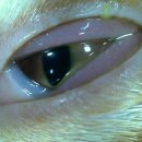 훈동물병원 이미지