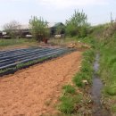 태리농장 이미지