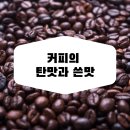뉴클라베