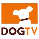 도그시장 이미지