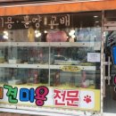 멍멍아 놀자 이미지