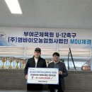 영바이오법인