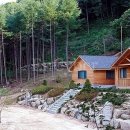 금원산 자연휴양림 이미지