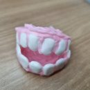 여선중학교 이미지