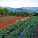 삼주공인중개사사무소 이미지