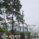 샐비아플라워 | 서울식물원 정원식재 디자인 전문가 양성과정 수업후기[미니포켓가든 식재도면과 물량산출,지형작업 실습]