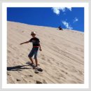 [ 호주여행 ] 시드니 포트스테판 관광 - 모래위에서 운전하기, 썰매타기, 야생돌고래 관광 이미지