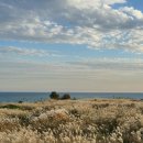 지에스(GS)25 수영감포로점 | [숙소 후기] 경주 숙소 추천 프룩스 플럭스 호텔 디럭스룸 방문 후기 호캉스 스테이폴리오