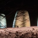 보양산업자원 이미지