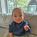 중문그랜드당구클럽 | 중문 호텔 그랜드조선 제주 프리미어 스위트룸 숙박 내돈내산 후기