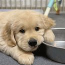 (주)제노아이 이미지