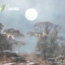 편안한 휴식(A Comfortable Rest)