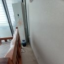 백년대로 307번길 네이버블로그