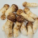 합천황토한우프라자 | 합천황토한우프라자 다녀온 후기