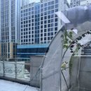 잘살개(J·DOG) 이미지