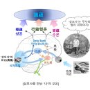 오온 - 961 | 오온