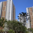 풍수지리 이미지