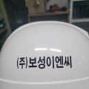 보성이엔씨