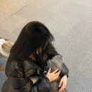 개린이살롱 | 대구 300평 실내애견카페 강아지유치원 | 젠틀펫