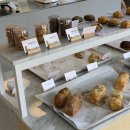 발레나식스 이미지