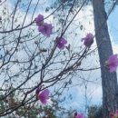 아남농장 이미지