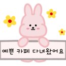 오로라네트웍스 이미지
