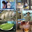 차재명농장 네이버블로그