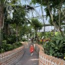 성호공원_조각공원주변 | 함께 가기 좋은 🌳안산식물원, 성호공원, 노적봉인공폭포공원, 단원조각공원 🌸안산벚꽃놀이 안산가볼만한곳