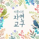 송내초등학교병설유치원 | 어린이집 실내 유아 체육교구는 미몽이 풍선치기