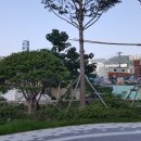 오동탕