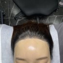 더디자인선 이미지