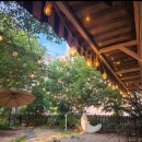 라곰카페 | 부평역 브런치 맛집 | 카페라곰 솔직후기 🐻💙