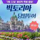 오케이 투어 이미지