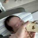 우리존 | #16. 내돈내산 우리집 맘마존&세척존 아이템들 실사용 후기(브레짜, 유팡, 보르르)