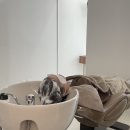 영은헤어 - 광산구 | 영은헤어