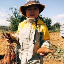 부평맑은내어린이집 이미지