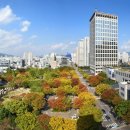 어린이놀이터 시청후문 이미지