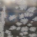 충북 청주) 아이와 함께 떠난 산토리니 감성 여행, 민들레미코 펜션 후기